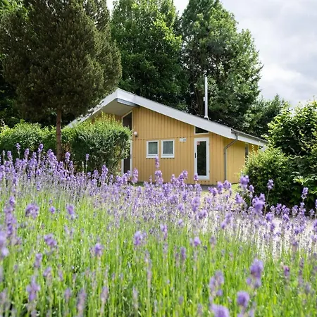 Ferienhaus Mit Sauna Im Mirow Granzow